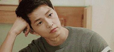 娱乐圈最火的吃瓜网红